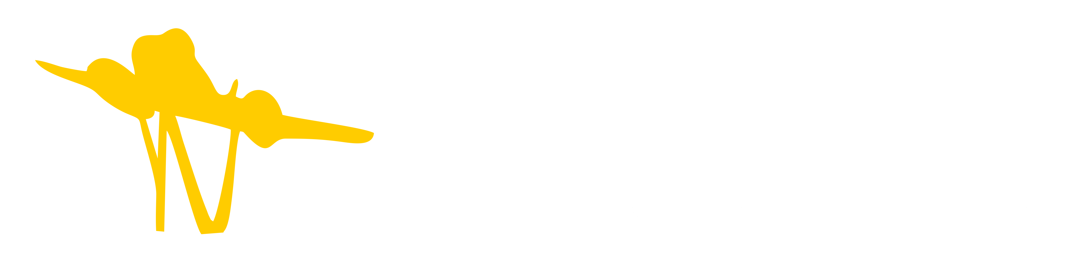 HOTEL ECONÔMICO EM CANOAS - RS